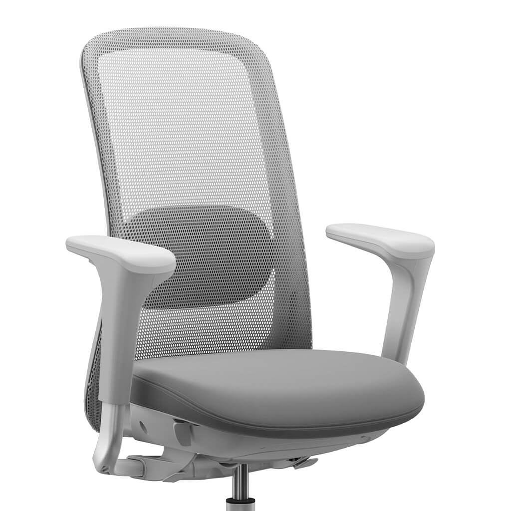 Ergonomic desk chair gray arms