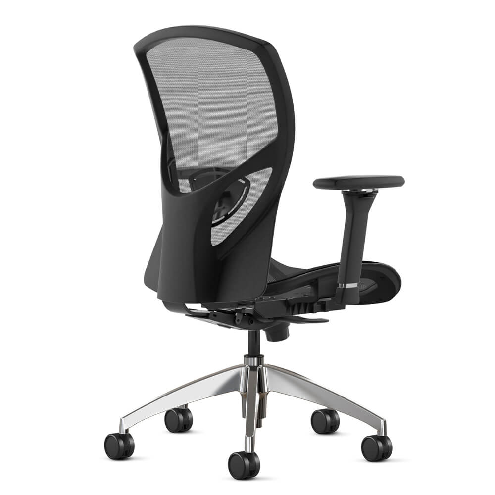 Office chair with adjustable lumbar environment back view
