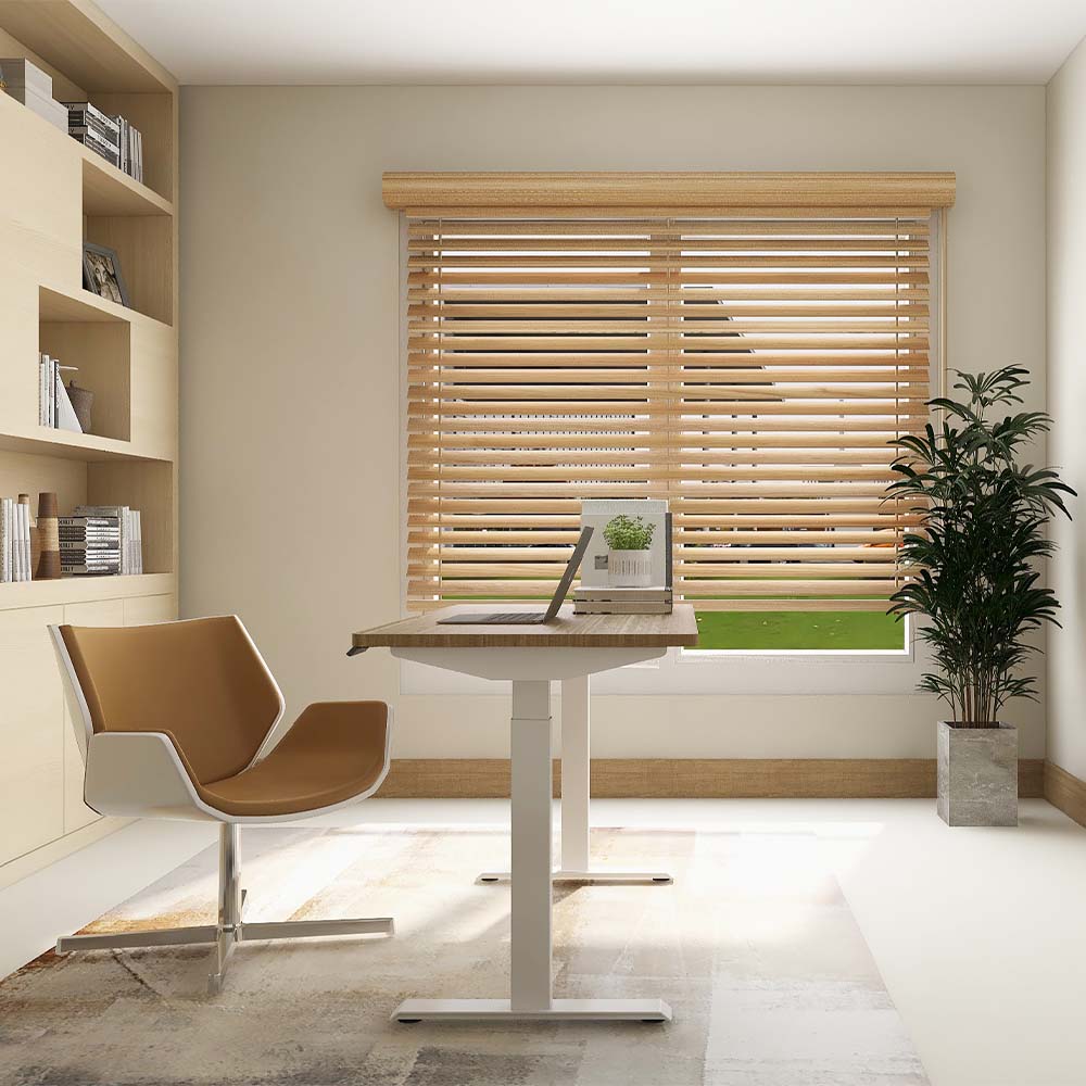 Smartstand dual motor standing desk with 2 stages environmental view 1